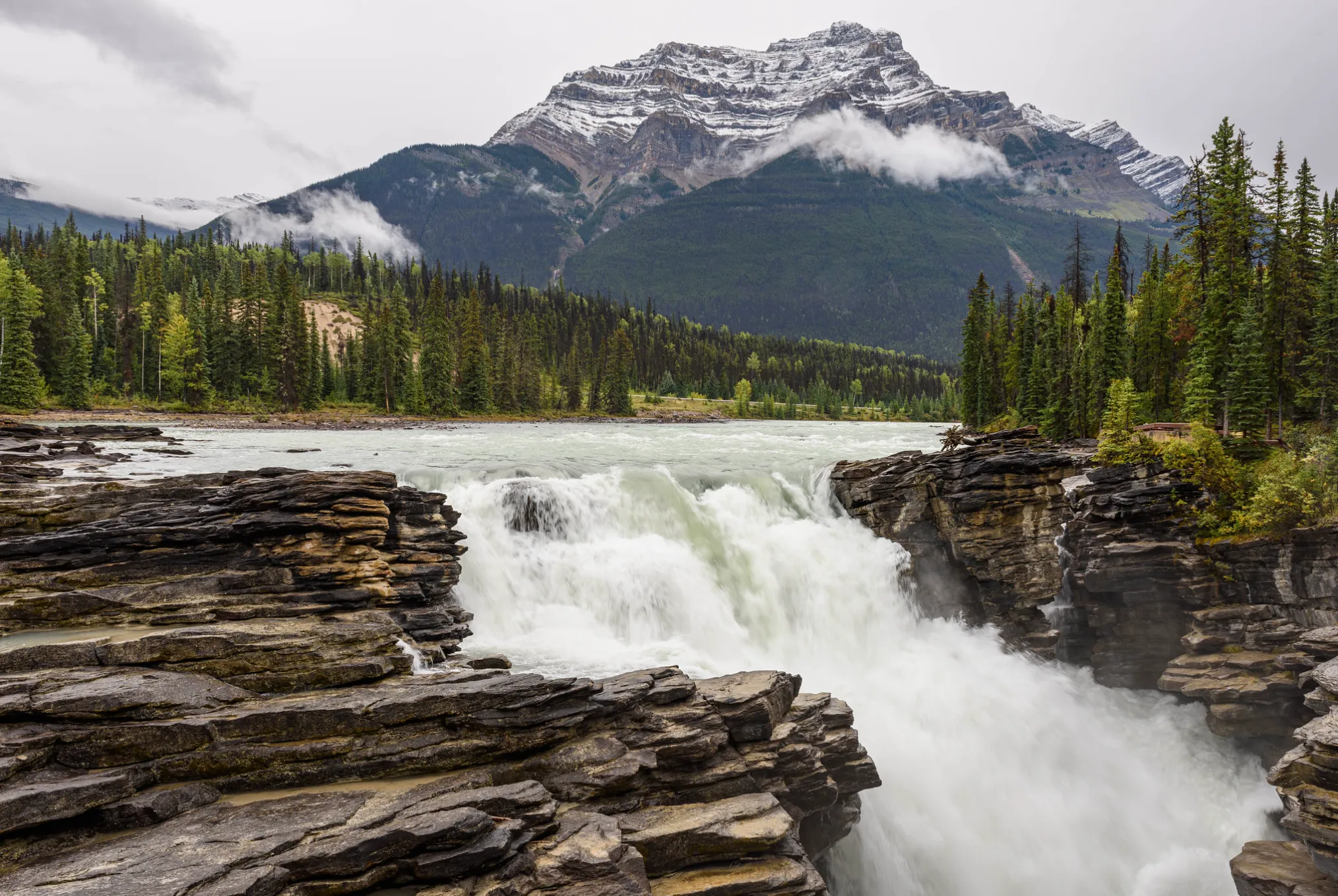 Athabaska Falls by Rodney Lappe